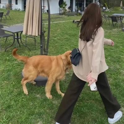 我是你的女人